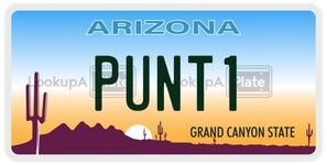 PUNT1 license plate in Arizona