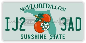 IJ23AD license plate in Florida