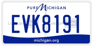EVK8191 license plate in Michigan